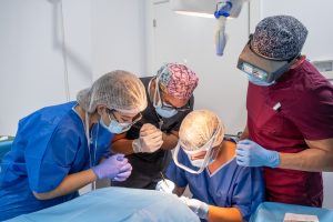 Practicas del master de tricologia femel 2025 (16)