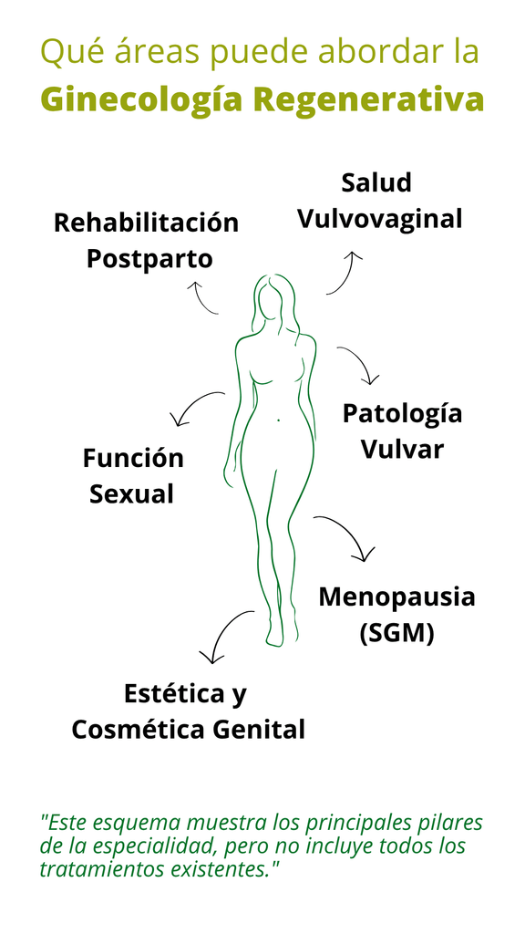 imagen ilustrando los diferentes abordajes dentro de ginecología regenerativa