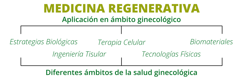 imagen ilustrando los diferentes componentes que hacen parte de la ginecología regenerativa